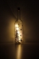 Preview: Deko-Flaschenlampe Winterwald silber mit 5 LED-Lämpchen, kompl inkl Presskorken